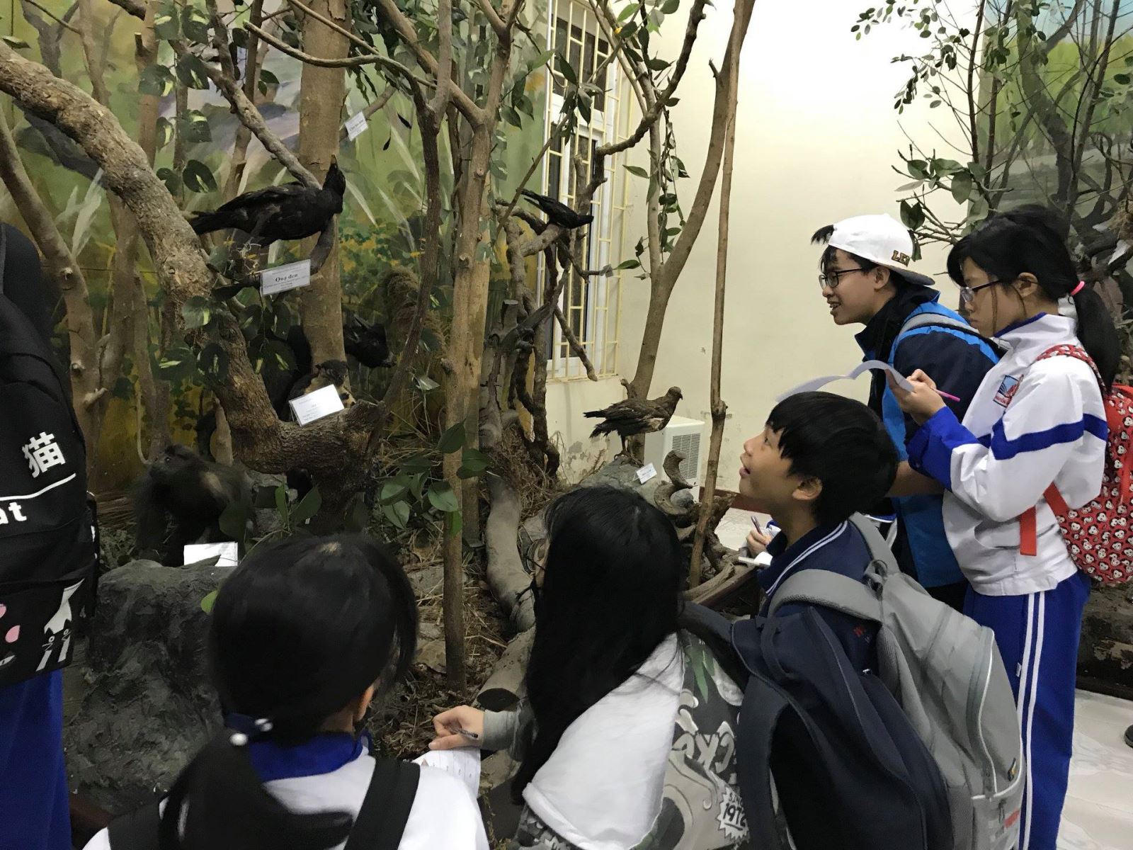 Students Learn to Protect Vietnam's Forests and Biodiversity